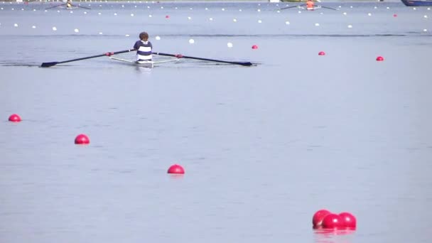 A rowing race — Stock Video