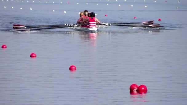 A rowing race — Stock Video