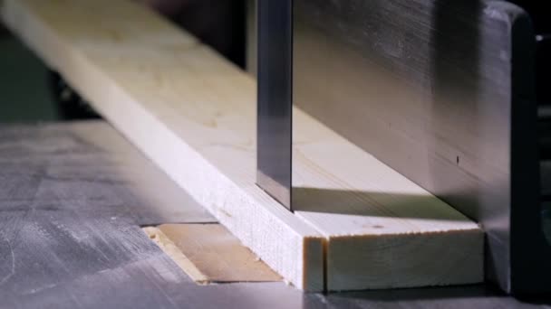 Carpenter at work close up — Stock Video