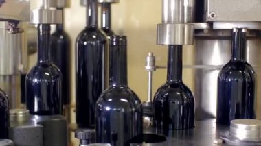 Çizgiler ve ekipman şişeleme şarap şişeleme