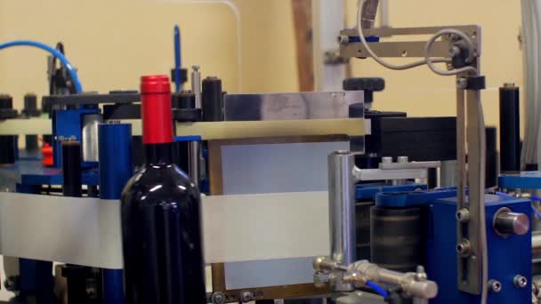 Palackozás vonalak és a bor palackozásának berendezések — Stock videók