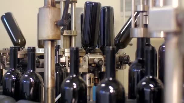 Bottling lines and wine bottling equipment — Stock Video