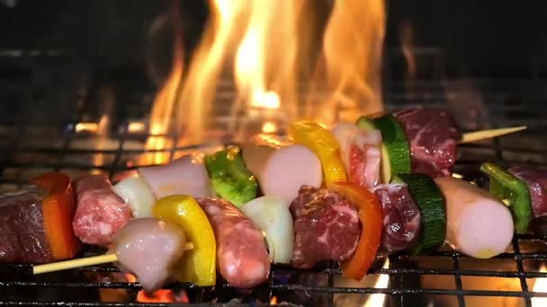 Grilling meat skewers — Stock Video