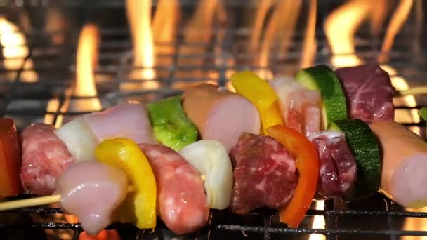 Grilling meat skewers — Stock Video