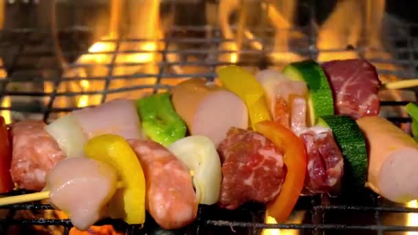 Grilling meat skewers — Stock Video