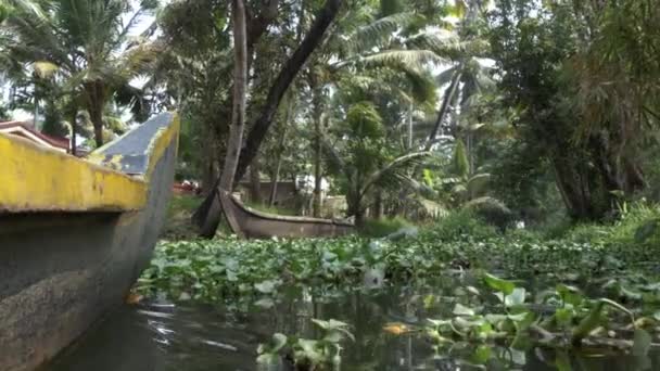 Bateau de canot sur les eaux arrières de l'État du Kerala, Inde du Sud 