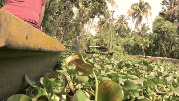 Каноэ на задворках штата Керала, Южная Индия — стоковое видео