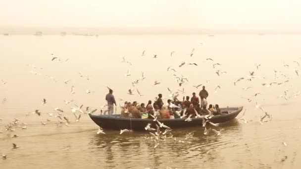 Turistbåt och måsar, Ganges River, Varanasi, Indien — Stockvideo