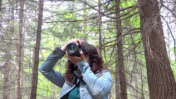 Jeune femme photographe animalier en action — Video