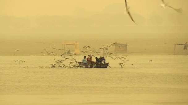 Turistická loď a racky, Ganges River, Varanasi, Indie, březen 2015 — Stock video