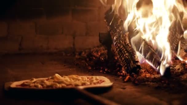 Kochen einer Pizza im Holzofen — Stockvideo