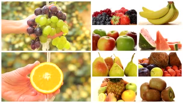 Primer plano de frutas diversas, montaje — Vídeo de stock