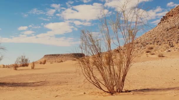 Sahara woestijn, Tunesië, weergave van de Tembaine-berg. — Stockvideo