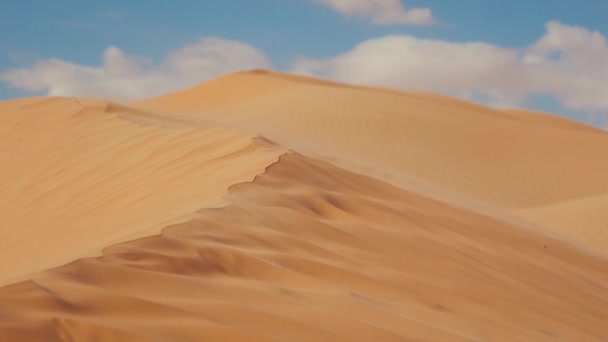 Sahara-Landschaft, Dünen und Wind. — Stockvideo