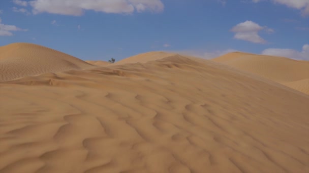 Sahara Paysage, dunes et vent .