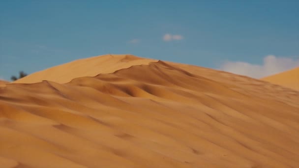 Sahara krajobraz, wydmy i wiatr. — Wideo stockowe