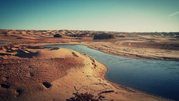 Sahara öknen landskap. Ain Ouadette oasis. — Stockvideo