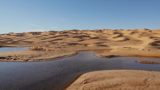 Sahara çöl manzara. Ain Ouadette oasis. — Stok video