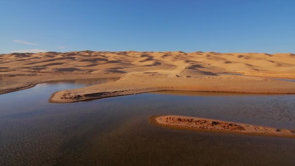 Sahara çöl manzara. Ain Ouadette oasis. — Stok video