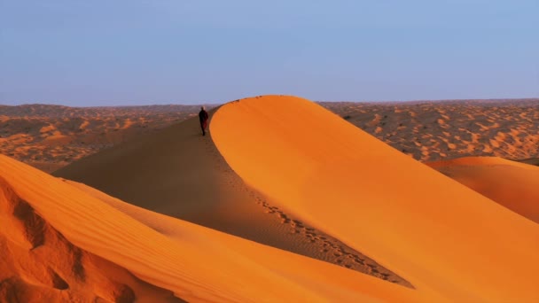 Sahara Desert landscape. Sif Es Souane grandes dunas. Un hombre caminando sobre dunas . — Vídeos de Stock