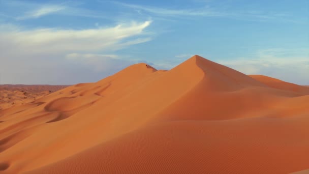 Sahara desert landscape. Ain Ouadette oasis. — Stock Video