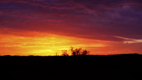 Vidunderlige Sahara ørken landskab. Klitter ved solnedgang . – Stock-video