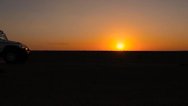 Kørsel off-road bil i sahara ørkenen ved solnedgang . – Stock-video