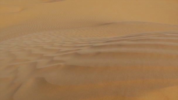 Sahara-Landschaft, Dünen und Wind. — Stockvideo