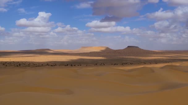 Sahara woestijn, Tembaine, Tunesië. Typisch landschap. — Stockvideo