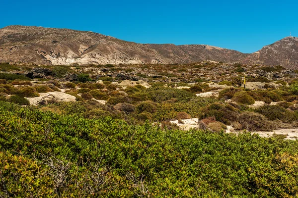 Crète, Grèce : paysage à Elafonisi — Photo