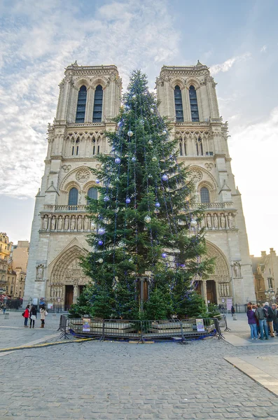 Cathedral Notre Dame de Paris in the Christmas Time — Stock Photo, Image