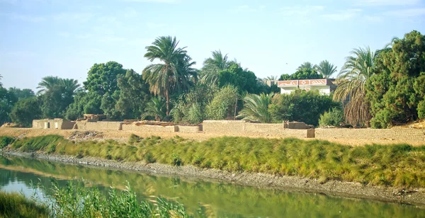 Egipto. Oasis junto al río Nilo — Foto de Stock