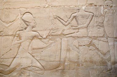 Ayrıntı rahatlama içinde seçim bölgesi olan Amun-Re (Karnak Tapınağı karmaşık, Luxor, Mısır)