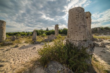 Bulgaristan'ın taş orman (Pobiti Kamani)