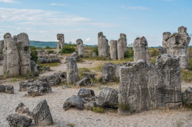 Bulgaristan'ın taş orman (Pobiti Kamani)