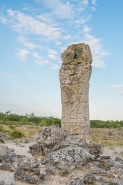 Bulgaristan'ın taş orman (Pobiti Kamani)