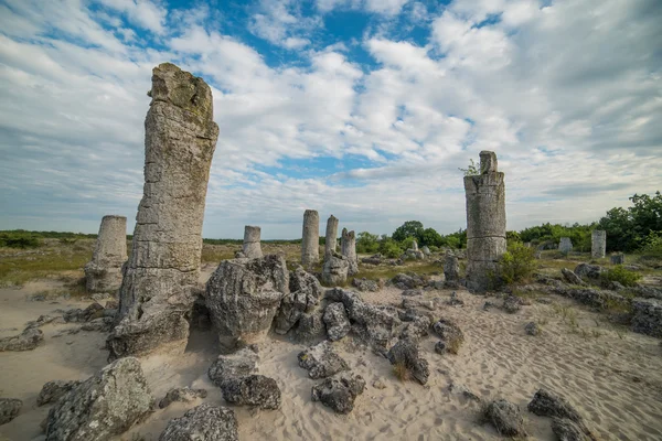 Bosque de piedra (Pobiti Kamani) en Bulgaria — Foto de Stock