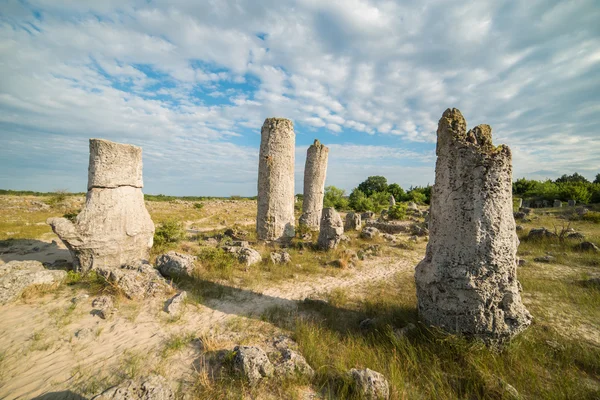 Bosque de piedra (Pobiti Kamani) en Bulgaria — Foto de Stock