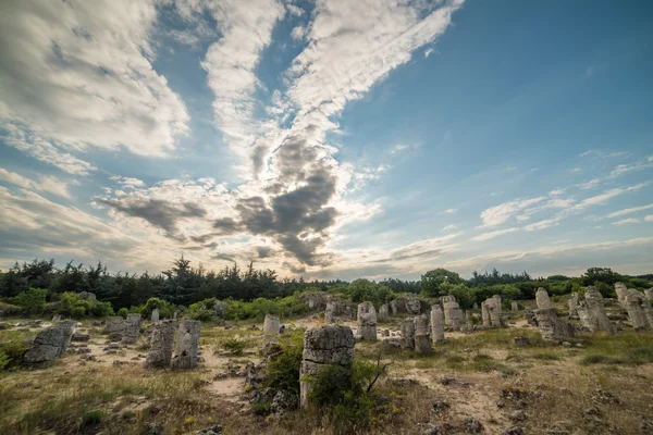 Stone Forest (vzdáleného Kamani) v Bulharsku — Stock fotografie