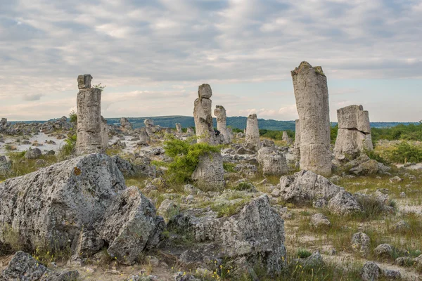 Bosque de piedra (Pobiti Kamani) en Bulgaria — Foto de Stock