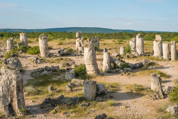 Bosque de piedra (Pobiti Kamani) en Bulgaria — Foto de Stock