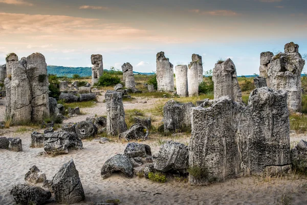 Versteend bos, Pobiti Kamani, naast Varna, Bulgarije — Stockfoto