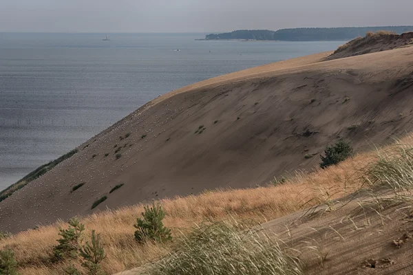 Martwe wydmy w regionie neringa, Litwa — Zdjęcie stockowe