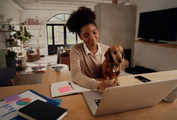 与狗坐在一起检疫时，快乐的非洲女人在家里用笔记本电脑工作 — 图库照片