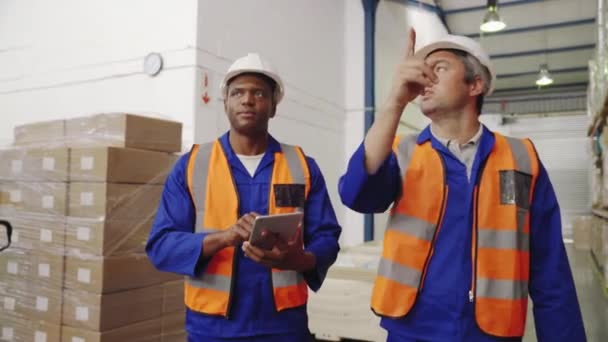 Les travailleurs afro-américains et caucasiens en entrepôt vérifient l'inventaire à l'aide d'une tablette numérique — Video
