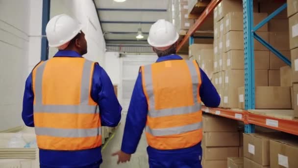 Tiro traseiro de dois trabalhadores do armazém masculino em colete de segurança e hardhat examinar o estoque no grande armazém — Vídeo de Stock