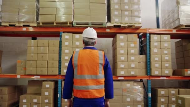 Directeur d'entrepôt d'âge moyen en casque et gilet de protection debout avec les bras croisés regardant la caméra dans l'entrepôt de distribution — Video