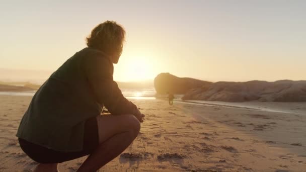 Słodki pies biegnący w kierunku swojego właściciela na plaży podczas zachodu słońca. Wysokiej jakości materiał 4k — Wideo stockowe