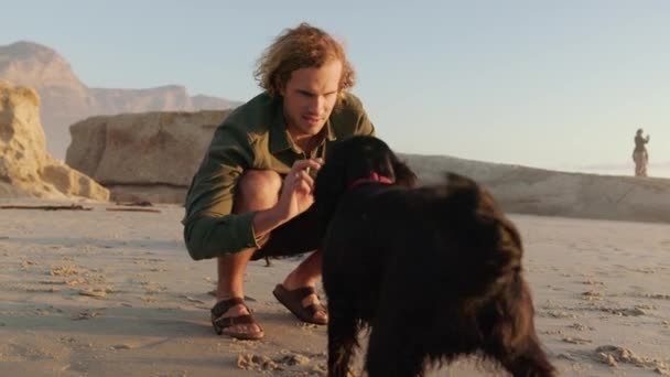 Młody biały mężczyzna grający w piłkę ze szczęśliwym psem na plaży o zachodzie słońca. Mężczyzna patrzący na swojego psa. Wysokiej jakości materiał 4k — Wideo stockowe