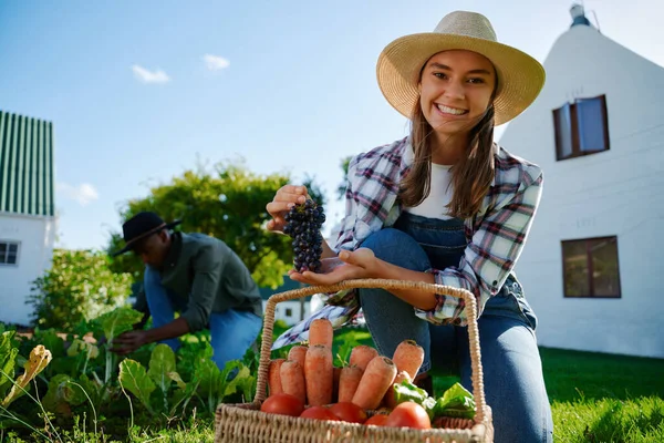 Agricultora caucásica recogiendo verduras frescas y poniendo en la cesta —  Fotos de Stock